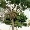 786.www.tiktok