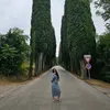 ericaur3