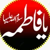 qazxplmn1981
