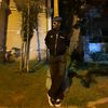 andrott__