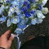 raena_19