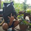 menjeng017