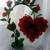 user8803046953943