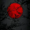user2197128072694
