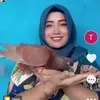 merpatibalap91