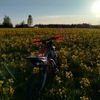 _bober_22