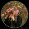 user4197663142530
