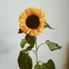 yoeng_17