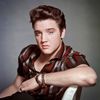 Elvis Presley's Graceland