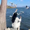 zahraabasim747