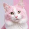 anis_sst