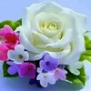 muhammadroman8259