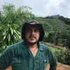 caipiradovale