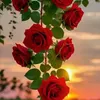 abd_ullah1y