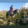 rezyarbalk