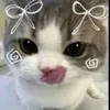 user1y5cqt12hh