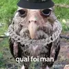 apreciador_de_femboy
