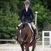 stella_equestrian03