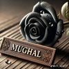 mirmirzaa0505