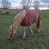 amelie_vermander