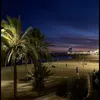 quissait