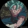xeno_vegetto