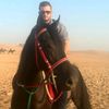 adel.elaraby63