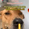 alexdz2279