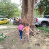 emaryvbgmail.com8