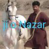 nazarharal2