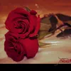 abnnajaf2024