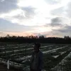 jejen.id