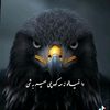 riazkh_an1