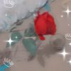apoivejb
