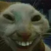 Hô ly xịt keo dán sắt