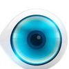 big_brother88