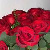 wafa_al41
