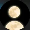 gnmftx