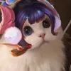 alicu.ayacu