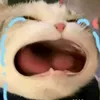 quochunh0