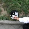 arimi_zya