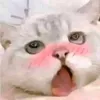 userw4q8dp5qx2