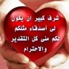 shaban_kucher1