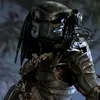 predator5642