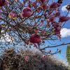 rita.anderson70