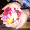 user568854219294647