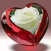 janlove6565