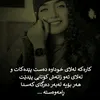 dinagull259