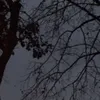 ash__320