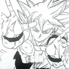 edits.dbz01